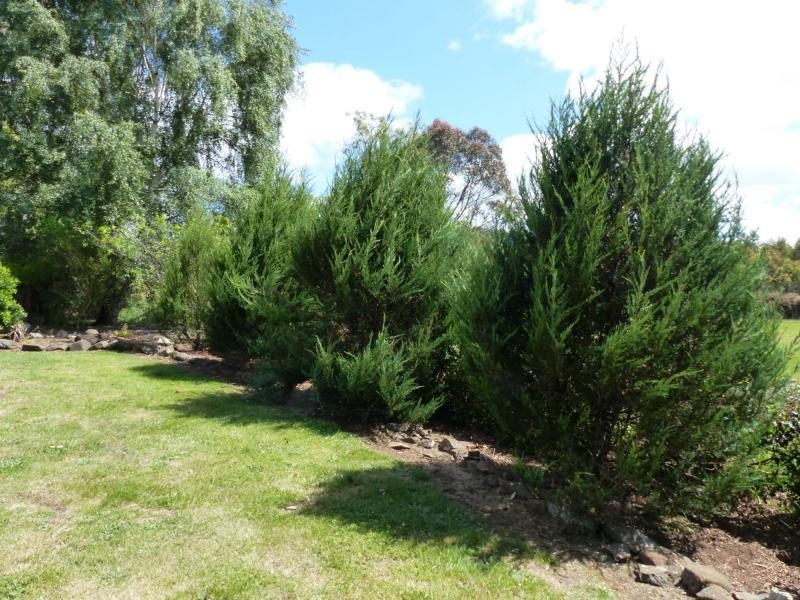 548 Montana Road, Montana TAS 7304