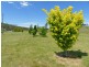 14495 Highland Lakes Road, Deloraine TAS 7304
