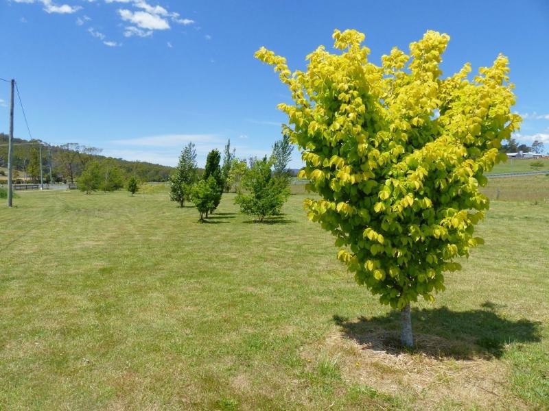 14495 Highland Lakes Road, Deloraine TAS 7304