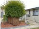 38 Pultney Street, Deloraine TAS 7304