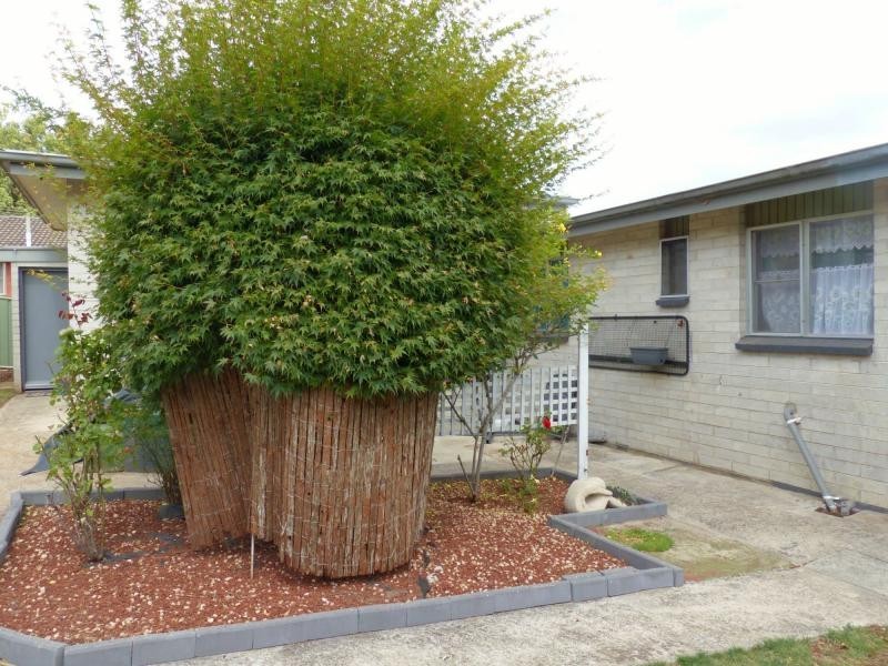 38 Pultney Street, Deloraine TAS 7304