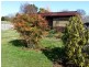 L1, 54 West Barrack Street, Deloraine TAS 7304