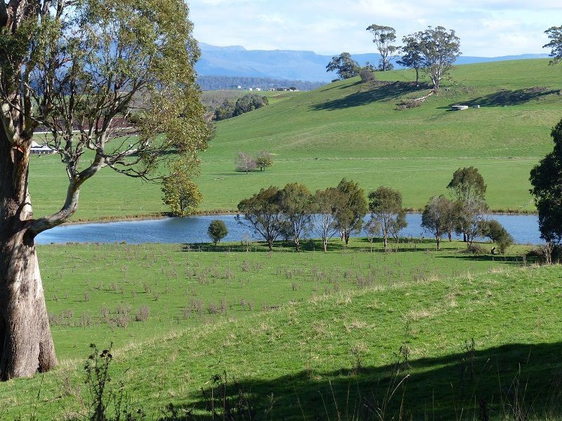 173 River Road, Deloraine TAS 7304