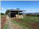 173 River Road, Deloraine TAS 7304
