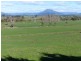 173 River Road, Deloraine TAS 7304