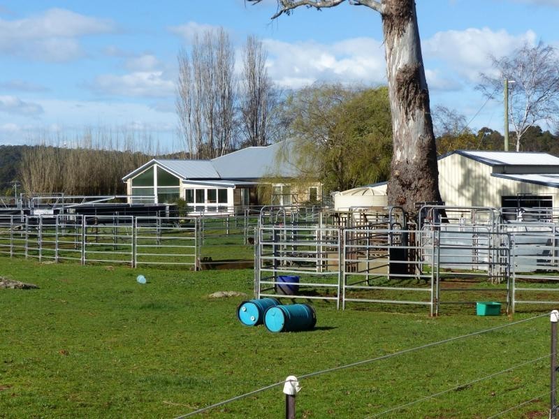 173 River Road, Deloraine TAS 7304