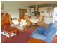 173 River Road, Deloraine TAS 7304