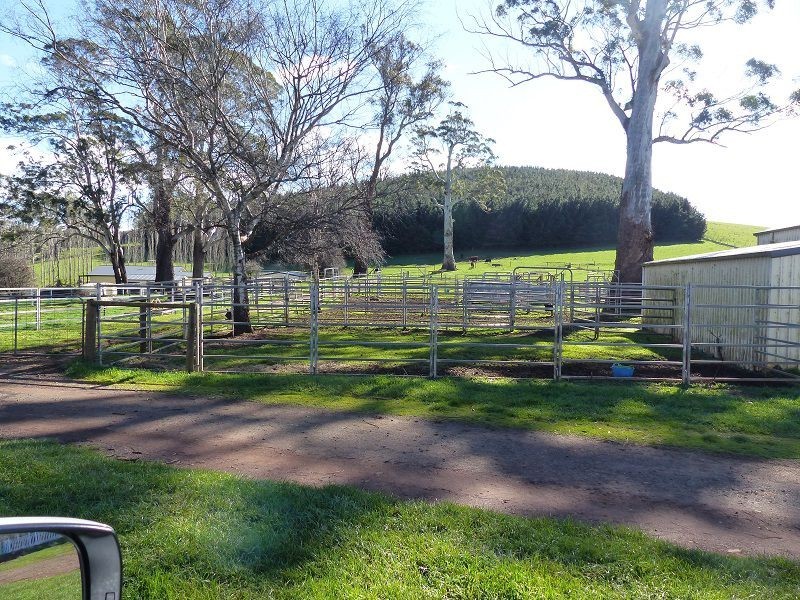 173 River Road, Deloraine TAS 7304