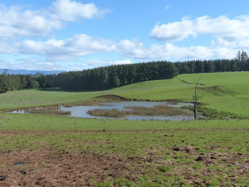 173 River Road, Deloraine TAS 7304