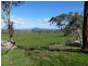 173 River Road, Deloraine TAS 7304