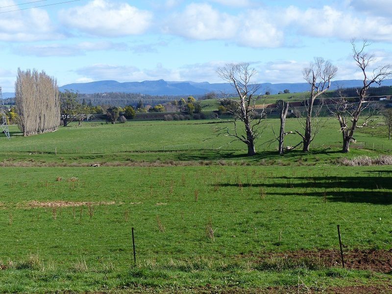 173 River Road, Deloraine TAS 7304