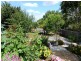 12 Beefeater Street, Deloraine TAS 7304