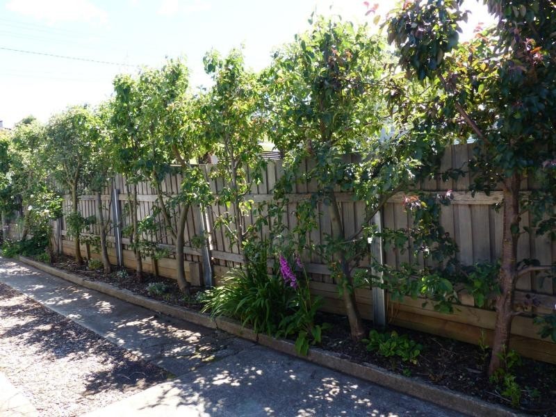 12 Beefeater Street, Deloraine TAS 7304