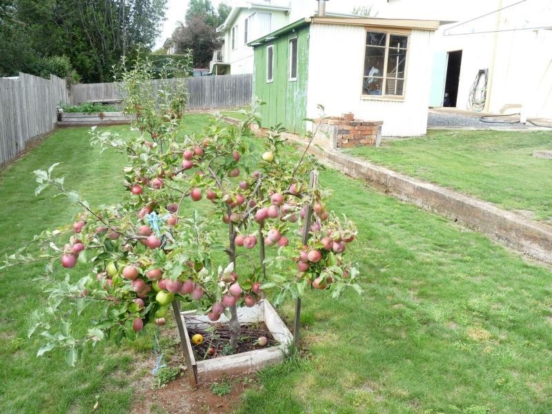 4 Vista Court, Deloraine TAS 7304