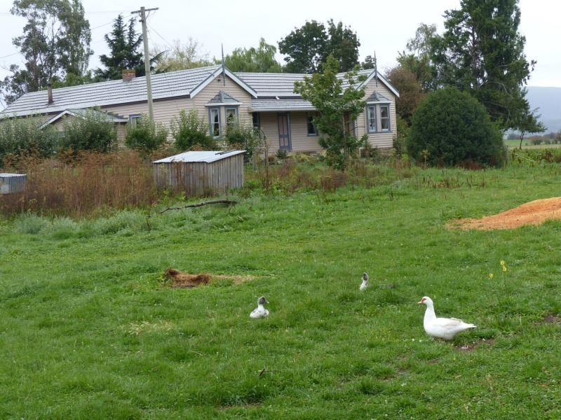 955 Caveside Road, Caveside TAS 7304