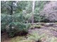12469 Highland Lakes Road, Golden Valley TAS 7304