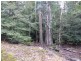 12469 Highland Lakes Road, Golden Valley TAS 7304