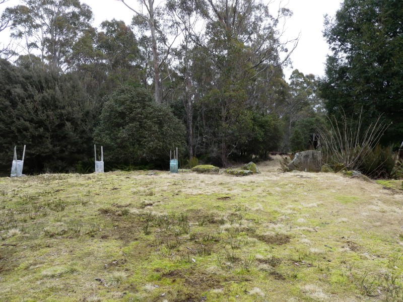 12469 Highland Lakes Road, Golden Valley TAS 7304