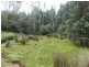 12469 Highland Lakes Road, Golden Valley TAS 7304
