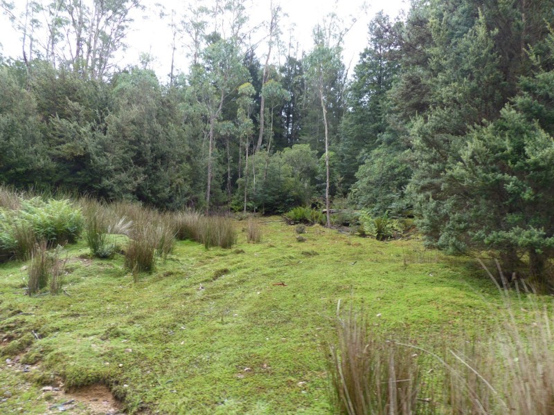 12469 Highland Lakes Road, Golden Valley TAS 7304