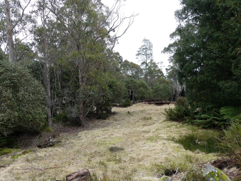 12469 Highland Lakes Road, Golden Valley TAS 7304