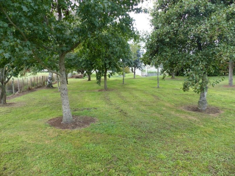 19 Beefeater Street, Deloraine TAS 7304
