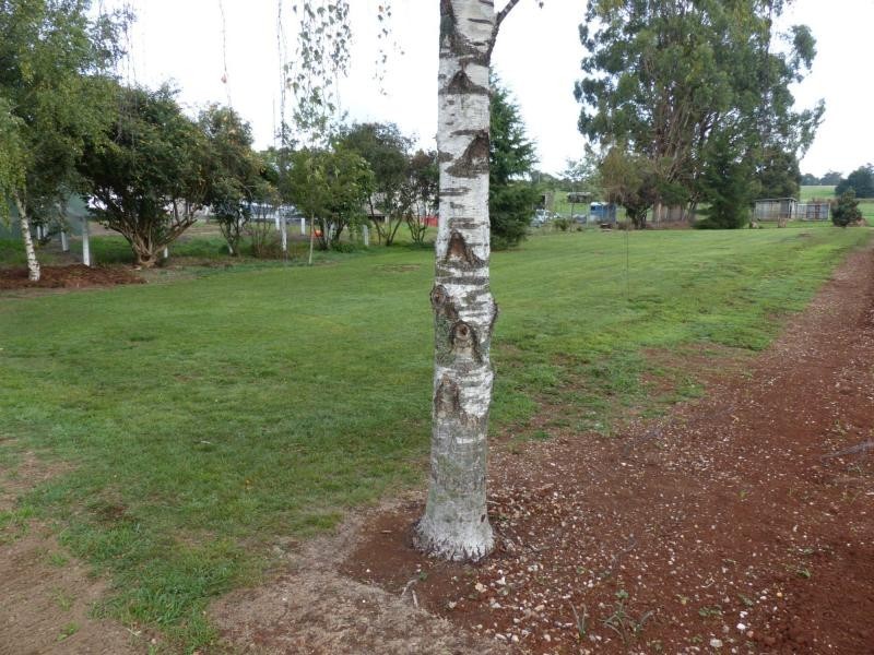 19 Beefeater Street, Deloraine TAS 7304