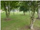 19 Beefeater Street, Deloraine TAS 7304