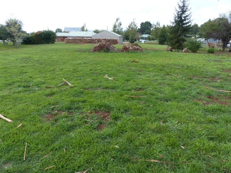 19 Beefeater Street, Deloraine TAS 7304