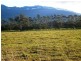 Dairy Plains TAS 7304