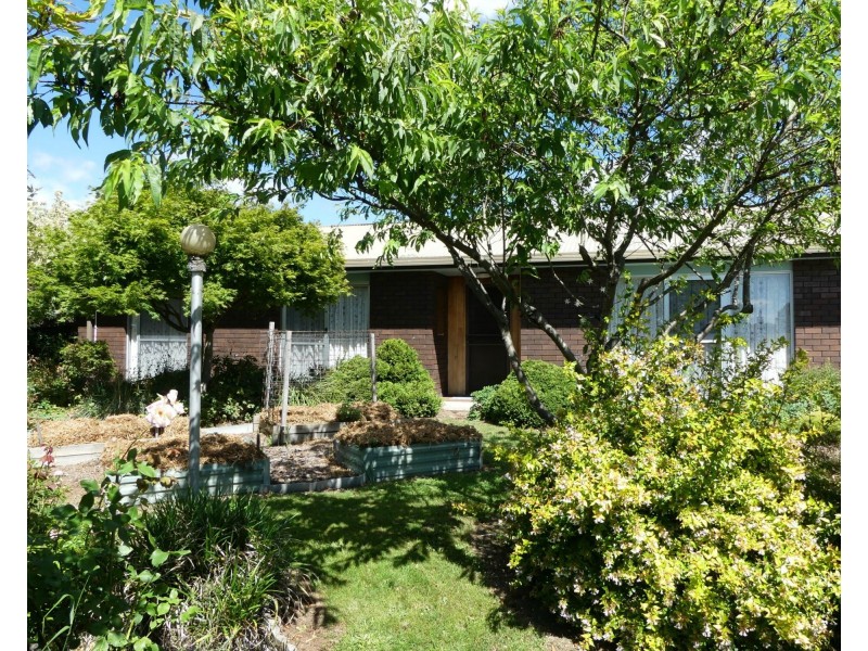 16 Caveside Road, Mole Creek TAS 7304