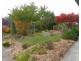 16 Caveside Road, Mole Creek TAS 7304