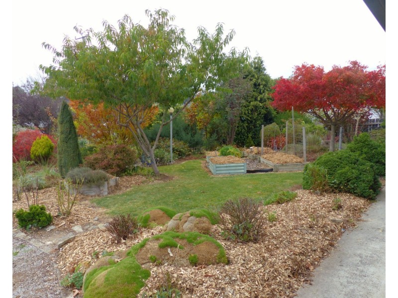 16 Caveside Road, Mole Creek TAS 7304