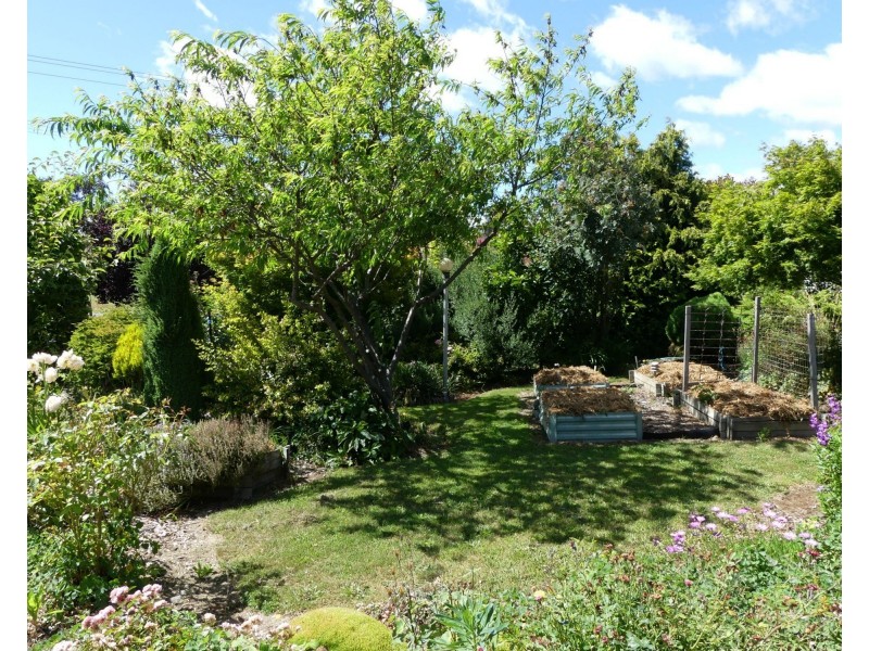 16 Caveside Road, Mole Creek TAS 7304
