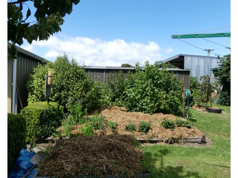 16 Caveside Road, Mole Creek TAS 7304