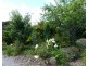 16 Caveside Road, Mole Creek TAS 7304