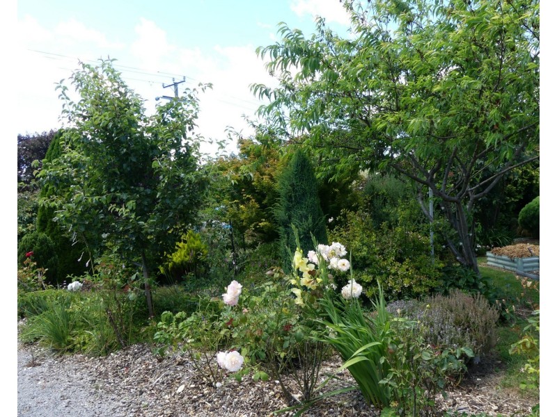 16 Caveside Road, Mole Creek TAS 7304