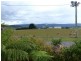 Mole Creek TAS 7304