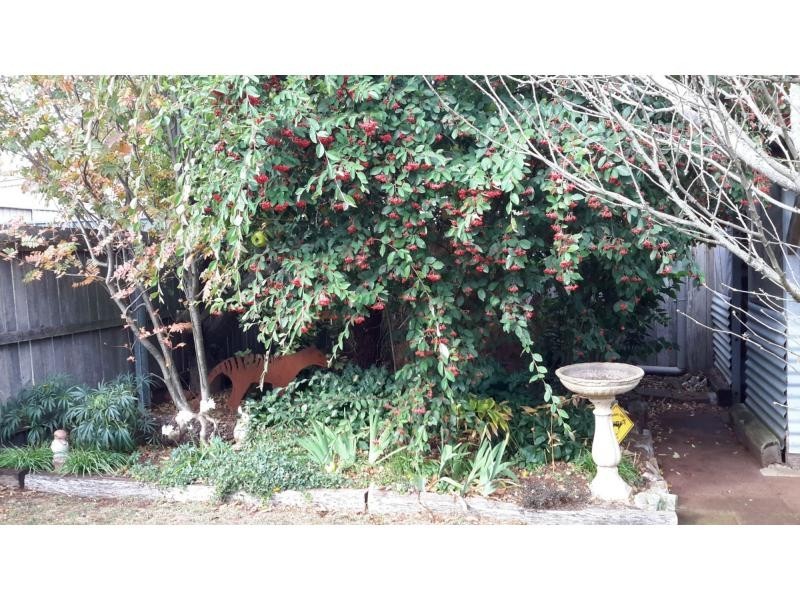 10 Winter Street, Deloraine TAS 7304