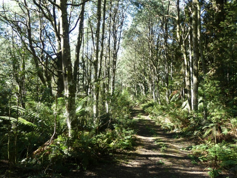 1405 Bogan Road, Golden Valley TAS 7304