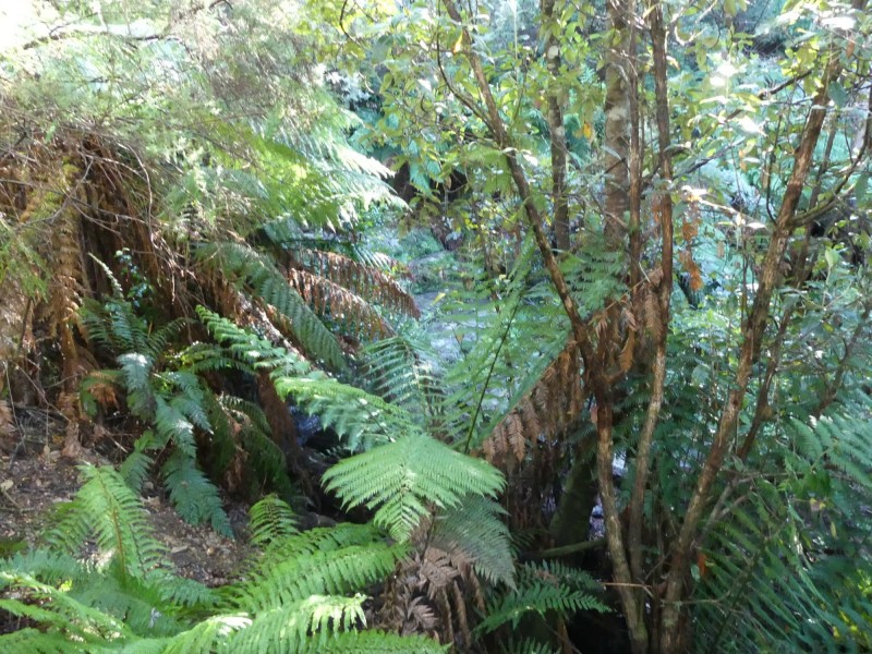 1405 Bogan Road, Golden Valley TAS 7304