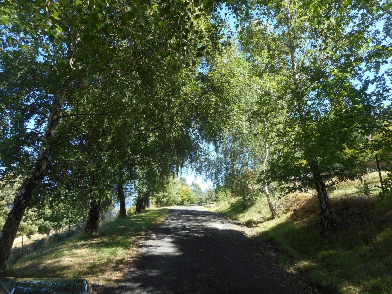 61 Hamptons Rd, Meander TAS 7304