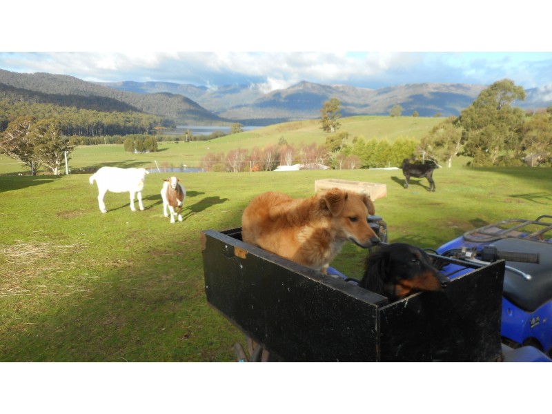 61 Hamptons Rd, Meander TAS 7304