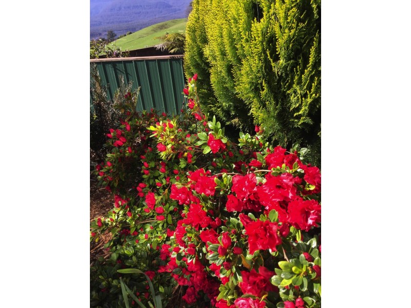 61 Hamptons Rd, Meander TAS 7304