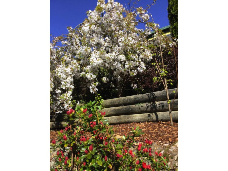 61 Hamptons Rd, Meander TAS 7304