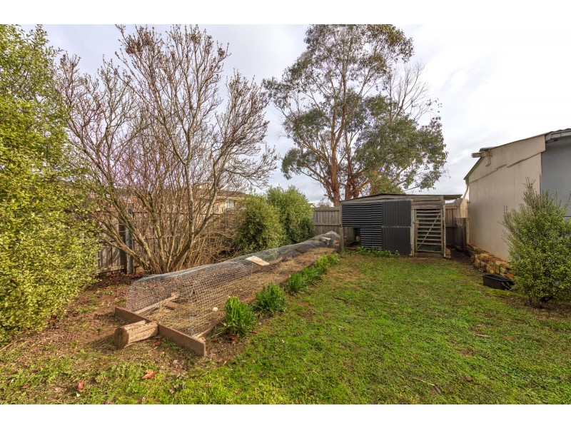 53 East Barrack St, Deloraine TAS 7304