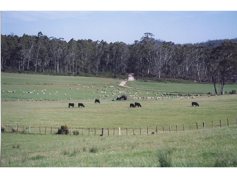 114 Kelly’s Rd, Reedy Marsh TAS 7304