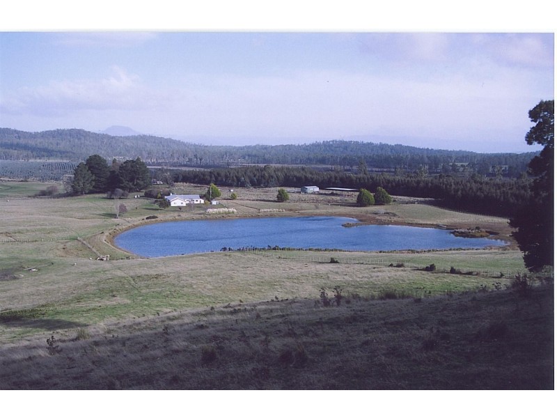 114 Kelly’s Rd, Reedy Marsh TAS 7304