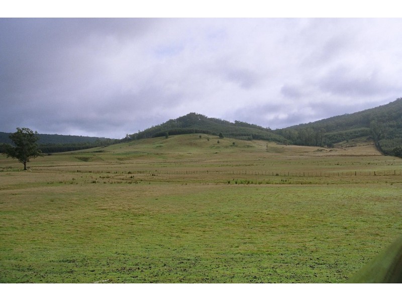 114 Kelly’s Rd, Reedy Marsh TAS 7304