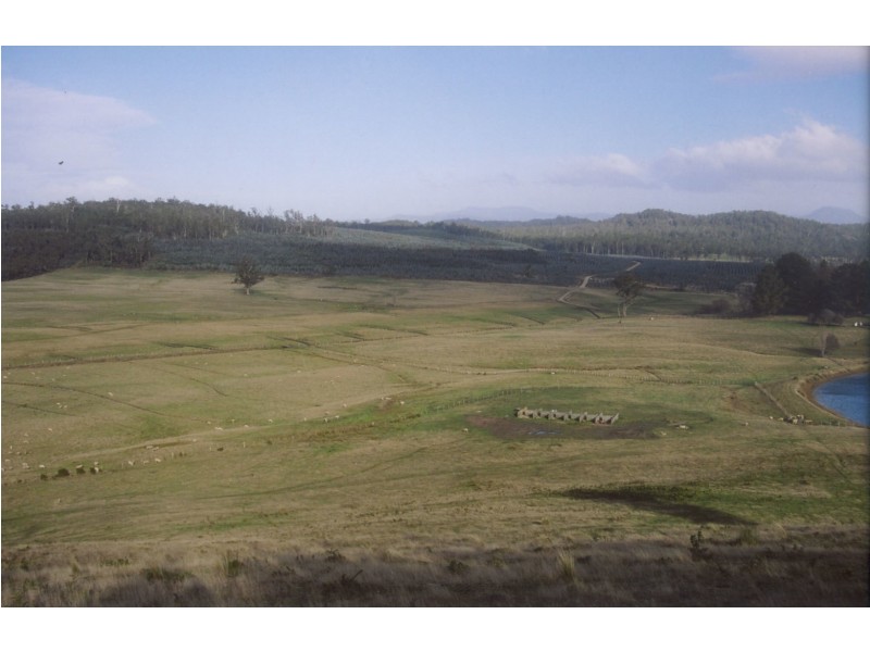 114 Kelly’s Rd, Reedy Marsh TAS 7304